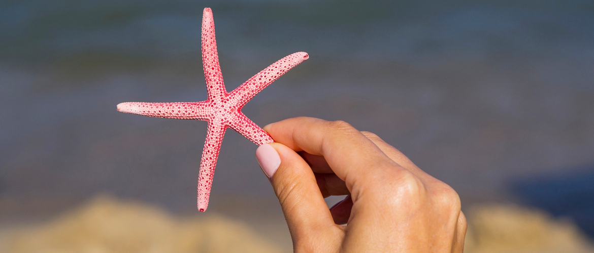 Studio Kinesthetic - Najbolji studio u Novom Sadu za pedikir i tretmane lica